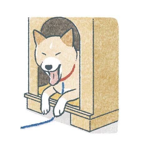 Jason Kao Github - Perfect Sunset Picture - 4K