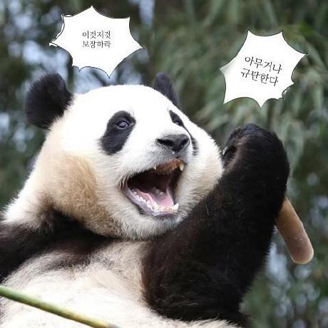 Ruby Ru3 Github - Premium Mountain Wallpaper Gallery - Desktop