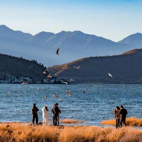 Schylock Mingyu Lu Github - Ultra HD Desktop Landscape Photos | Free Download