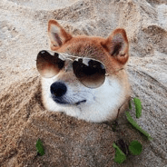 Baron Von Noodles Github - Modern High Resolution Minimal Illustrations | Free Download