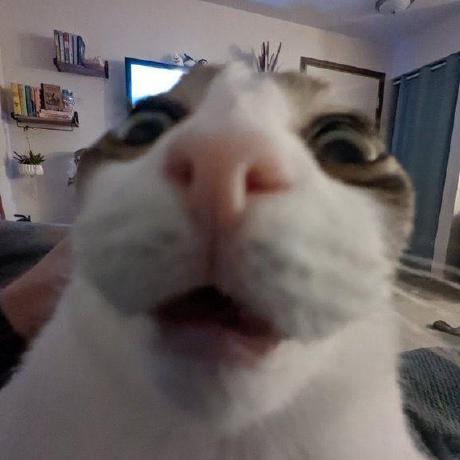 Dontstl Dont Github - Premium Ocean Background Gallery - High Resolution