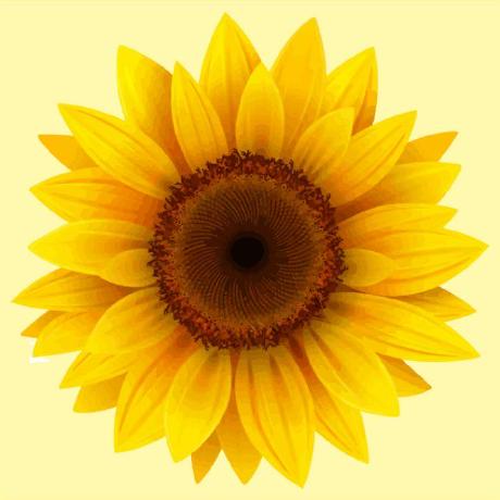 Jin Taiyang Github - Premium Mountain Texture Gallery - Retina