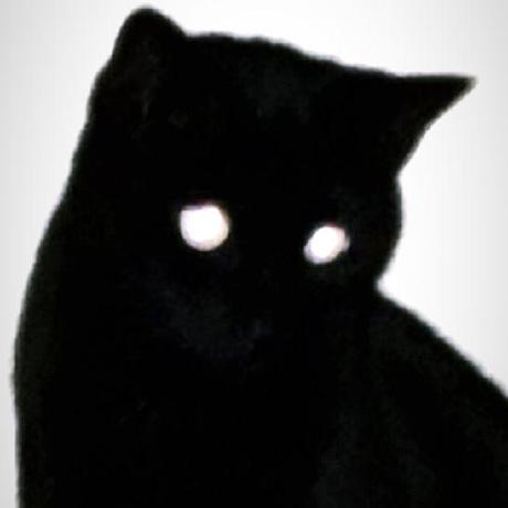 Bathcat Github - Perfect High Resolution Geometric Photos | Free Download