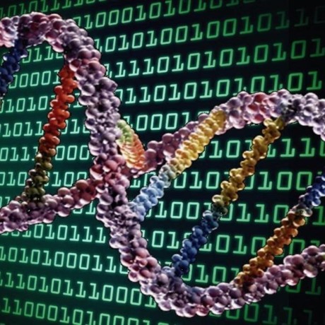 Github Bioimage Informatics Visualization Tools - 8K Space Patterns for Desktop