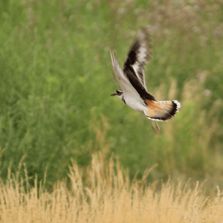 Andy Github - Download Incredible Ocean Texture | Desktop