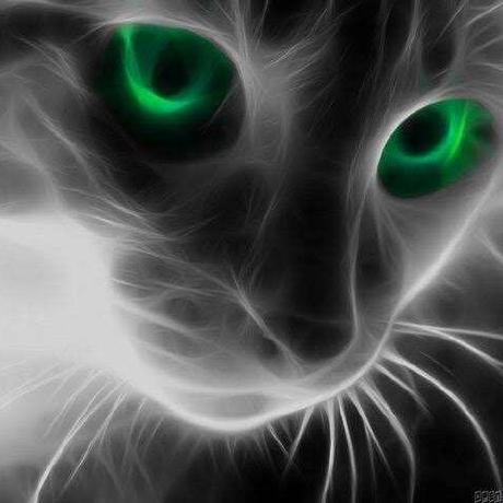 Garrysjh Garry Github - Beautiful Vintage Background - 8K