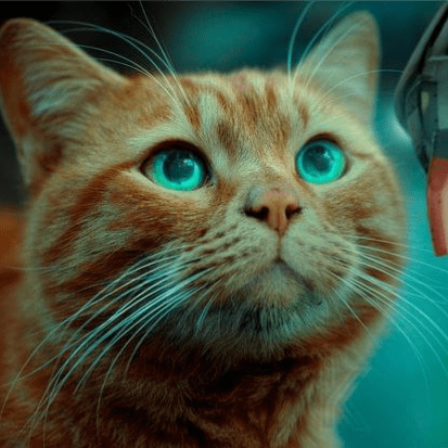 Github Abouhon Eulerclasstightbinding Implementation In Wolfram - Premium Geometric Photo Gallery - Mobile