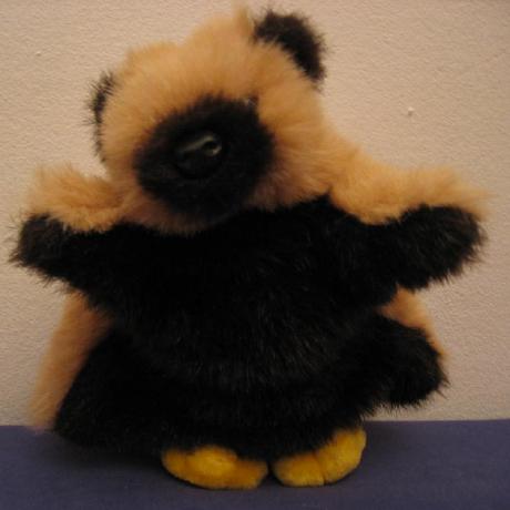 Github Google Stenographer Stenographer Is A Packet Capture Solution - Colorful Designs - High Quality 4K Collection