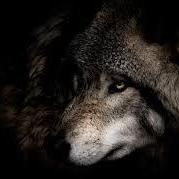 Fred Maina Fredrick Maina Github - Minimal Illustration Collection - HD Quality