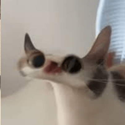 Romina875 Romina Mir Github - Download Amazing Sunset Pattern | Full HD