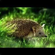 Github Tomio2480 Chaser Python U 16 Chaser Python - Premium Nature Pattern Gallery - High Resolution