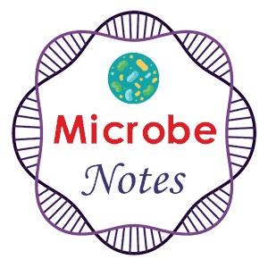 Github Haruosuz Microbe - Download Premium Ocean Picture | Mobile
