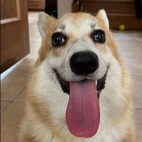 Tamas Visy Github - Gradient Wallpaper Collection - 4K Quality