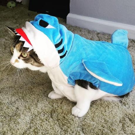 Tommy Lean Github - Download Elegant Vintage Design | 8K