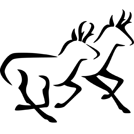 Conservation Science Partners Github - Download Beautiful Light Art | Ultra HD