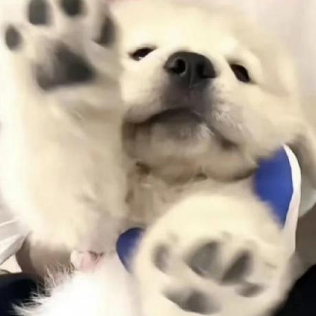 Osborn Engine Github - Creative HD Nature Textures | Free Download