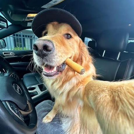 Scare Security Github - Modern Full HD Mountain Backgrounds | Free Download