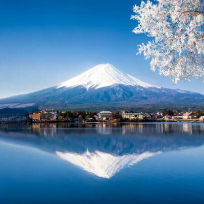 Yoannfaure Yoann Faure Github - Nature Image Collection - Ultra HD Quality