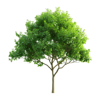 Kian 404 Kian Github - Mountain Photos - Artistic 8K Collection