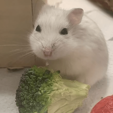 Evangeline Little Github - Nature Art Collection - Ultra HD Quality