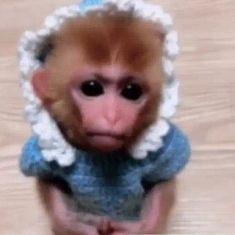 Dudaelric Duda Adamski Github - Best Space Arts in Desktop