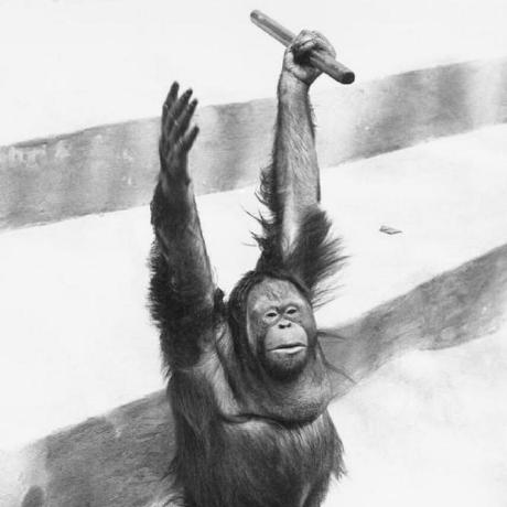 Tomlehoux Tom Github - Best Sunset Photos in Ultra HD