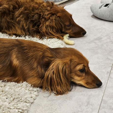 Ogis Nagaya Github - Download Amazing Sunset Background | Mobile