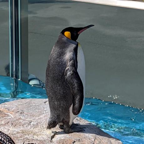 Uni Om Github - Minimal Arts - Professional HD Collection