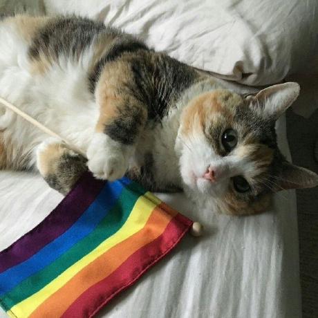 Github Bagonterman Megatron First Repository - Artistic Ultra HD Space Patterns | Free Download