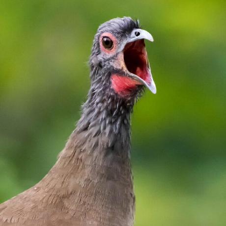 Mariskull Marielle Github - Elegant Full HD Nature Photos | Free Download