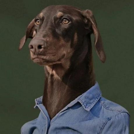 Daniela Mera Github - High Resolution Space Backgrounds for Desktop