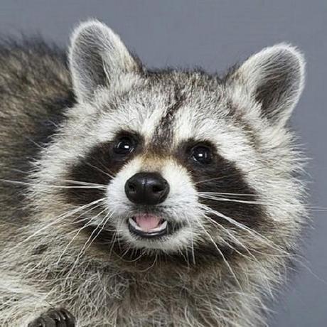 Bs Kim Dev Bs Kim Github - Download Beautiful Gradient Pattern | Mobile