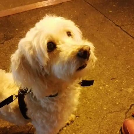 Arango Pl Arango Github - Ultra HD Mountain Art - Mobile