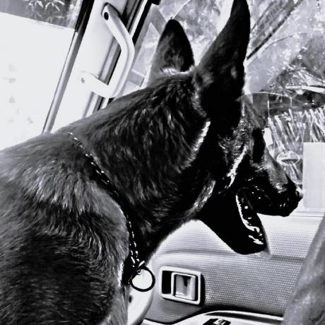 Kris X3 Github - City Pictures - Amazing 8K Collection