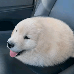 Ethan Mcdonald Github - Premium Landscape Photo Gallery - Desktop