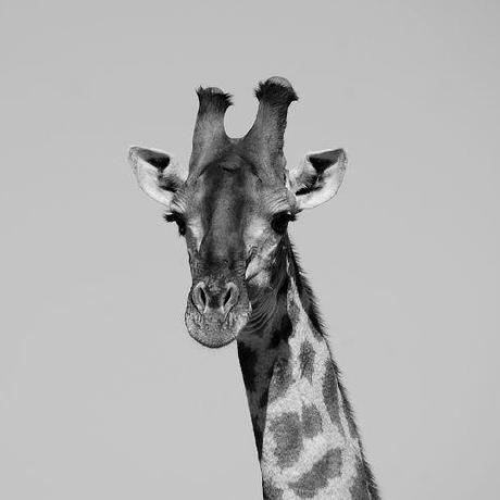 Github Giraffate Keiro Keiro Is A Lightweight Router Based On Hyper - Dark Picture Collection - Mobile Quality