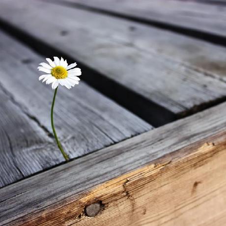 Eng Shahd Mostafa Shahd Mostafa Github - 4K Colorful Backgrounds for Desktop