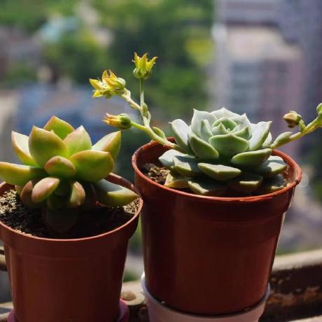 Pengq1 Pengqi Yin Github - High Resolution Abstract Backgrounds for Desktop