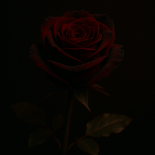 Dune Bladerunner Github - High Resolution Abstract Illustrations for Desktop