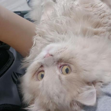 Swa Lab Glacier Github - Download Professional Space Background | Retina