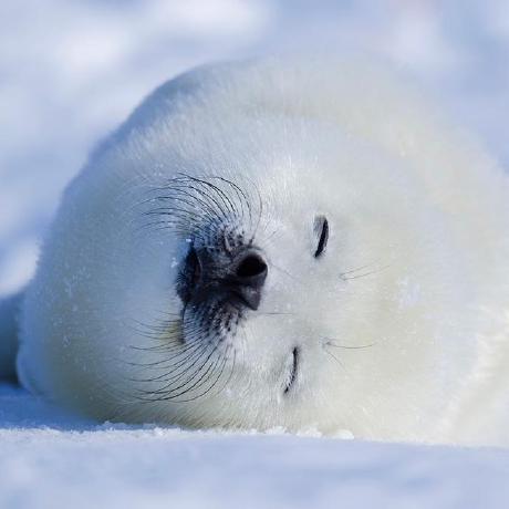 Toby Murai Github - Full HD Dark Pictures for Desktop