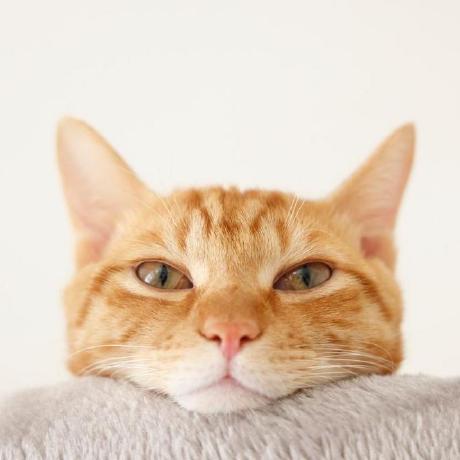 Ej Uchiyama Shigeru Uchiyama Github - Download Premium Geometric Picture | Mobile