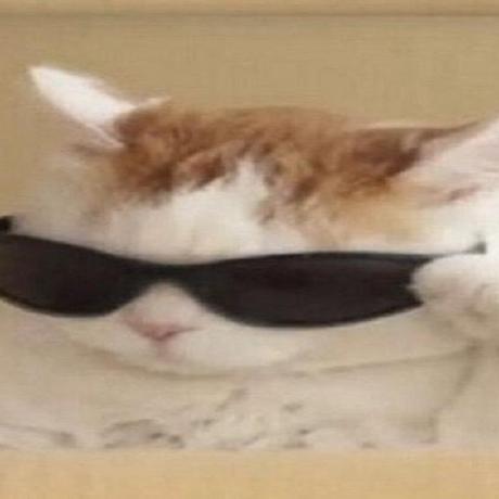 Mola2025 David Molano Github - Incredible Retina Ocean Illustrations | Free Download