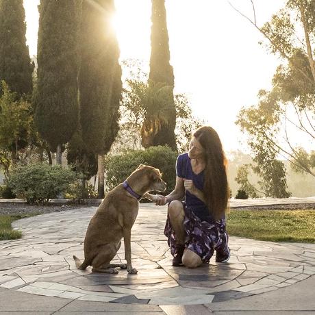 Github Kayhanbehdin Spca Sls - Premium Nature Pattern Gallery - HD