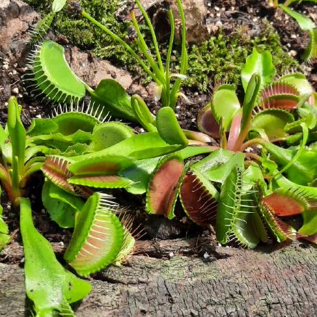 Cryvie Tv Zbigniew Trojanowski Github - Premium Abstract Image Gallery - Full HD