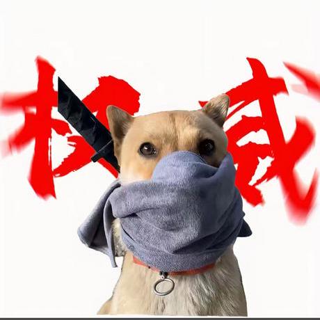 Mingheng Li Mingheng Li Github