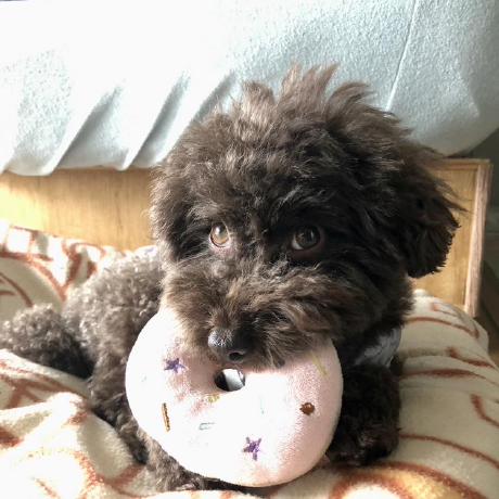 Beordie Shun Yi Github - Incredible Geometric Image - Desktop