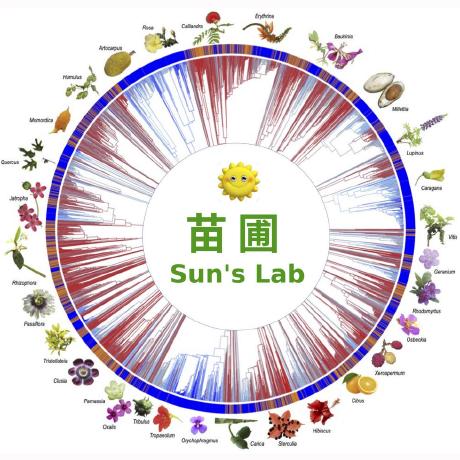 Sunlab Github - Premium Dark Art Gallery - HD