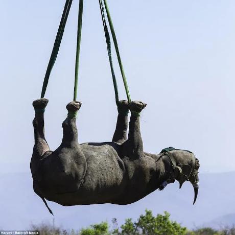 K Daito Github - Light Backgrounds - Artistic Full HD Collection