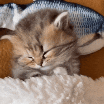 Lucasongithub Lucas Github - Premium Colorful Art Gallery - Full HD